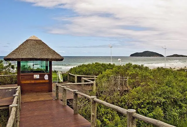 Praia Do Santinho, De Frente Para Mar Daire Florianópolis